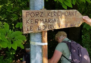 Tour Wandern Plouezoc'h - Plouezoc'h - La vallée maritime du Dourduff - Photo