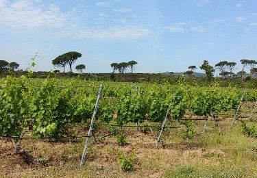 Excursión Senderismo La Motte - demoiselles juin 1 - Photo