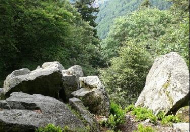 Tour Wandern Wildenstein - le Rothenbackopf depuis le col  du Bramont - Photo