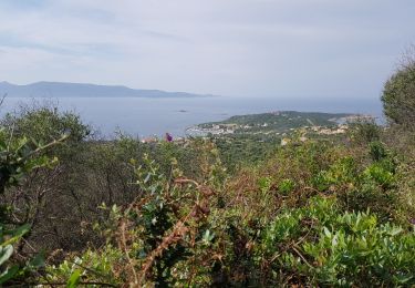 Excursión Senderismo Serra-di-Ferro - C8  Mare e Monti sud: Porto Pollo - Coti-Chiavari - Photo
