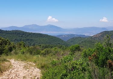 Trail Walking Coti-Chiavari - C9 Mare e Monti sud: Coti-Chiavari  Bisinao - Photo