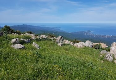Trail Walking Albitreccia - C10 Mare e Monti sud: Bisinao Porticcio - Photo