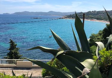 Randonnée Marche Le Lavandou - Sentier du littoral St Clair a` La Fossette et retour  - Photo