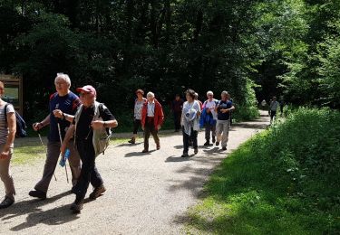 Randonnée Marche Guyancourt - Sortie Etang de la Geneste 07/06/2018 - Photo