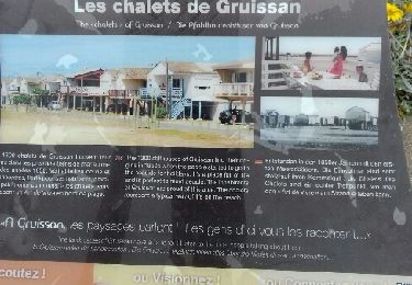 Tocht Fiets Gruissan - Gruissan Les Chalets  - Photo