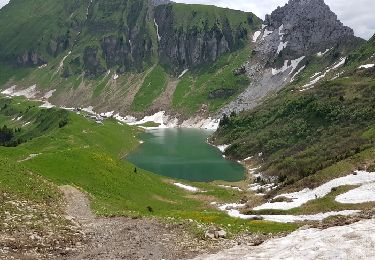 Trail Walking Glières-Val-de-Borne - La Palange (Rocher de Salin) - Photo