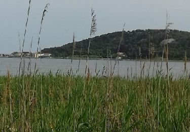 Tour Wandern Gruissan - tour du lac de Gruissan  - Photo