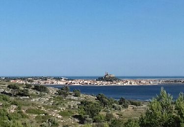 Randonnée Marche Gruissan - CAPOULADE - GRUISSAN  - Photo