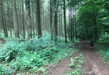 Trail Walking Longwy - Longwy 19 km - Photo