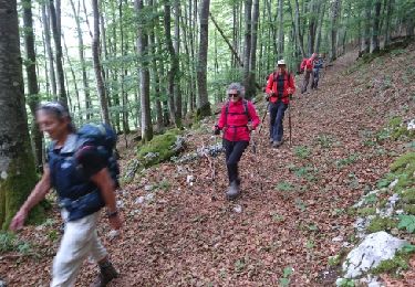 Trail Other activity Foncine-le-Bas - 180617 - Photo