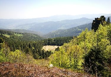 Tocht Stappen Le Valtin - lac vert lac destruites - Photo