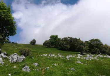 Tour Wandern Lans-en-Vercors - vertige des cimes - Photo