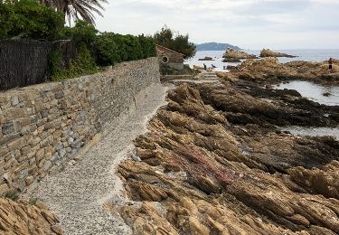 Tour Andere Aktivitäten Le Lavandou - Le Lavandou Port et sentier du lito - Photo