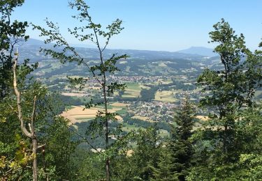 Tour Wandern Annecy - Mont Veyrier-Mont Baron - Photo