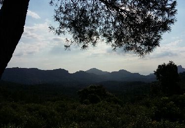 Trail Walking Saint-Raphaël - Les Veissières au Tour du Bonnet de Capelan - Photo