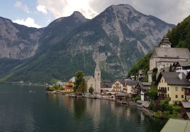 Tocht Fiets Aigen im Ennstal - Aigen im Ennstal - Lauffen (Salzkammergut) - Photo