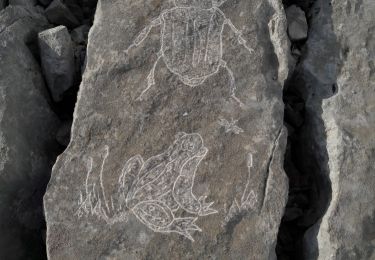 Tocht Stappen Aubagne - les pierres gravées du Garlaban - Photo