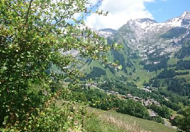 Randonnée Marche La Clusaz - Tête du danay - Variante - Photo