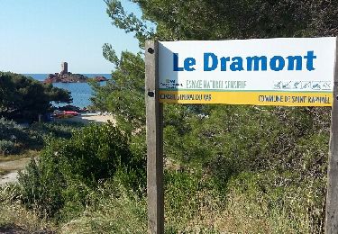 Trail Walking Saint-Raphaël - Plage du Débarquement à la plage de Camp Long - Photo