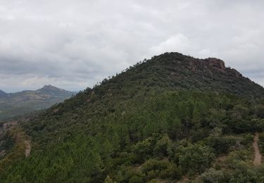 Trail Walking Théoule-sur-Mer - les 3 cols et grosses et petites grues - Photo