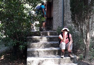 Trail Walking Cassis - autour du gibaou - Photo