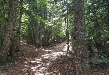 Trail Walking Corrençon-en-Vercors - Les Rochers de La Balme par les Cabanes de La Combe de Fer et de Serre du Play - Photo