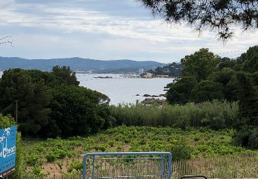 Tour Wandern Le Lavandou - Le Lavandou - Cap Negre - Photo