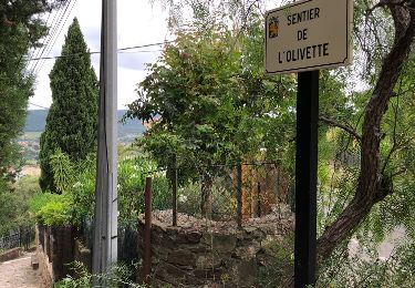 Tocht Stappen Le Lavandou - Le Lavandou - Bormes Les Mimosas - Le Lavandou - Photo