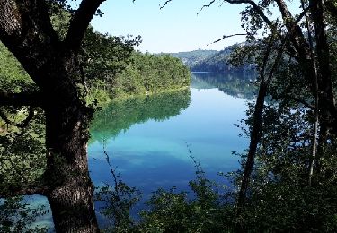 Trail Walking Saint-Julien - 180629 esparon  - Photo