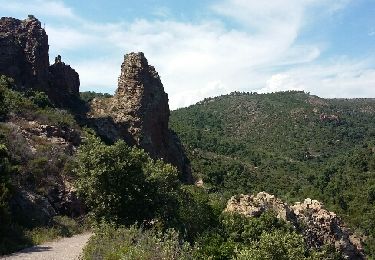 Tour Mountainbike Saint-Raphaël - Peïre Sarade à MF du Malpey - Photo