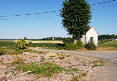 Percorso Bicicletta Ronse - beau paysages  - Photo