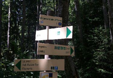 Trail Walking Chamonix-Mont-Blanc - CHAMONIX (Vers Argentière par l'Arve). - Photo