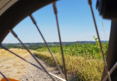 Tour Mountainbike Ronse - Petits chemins panoramiques autour de Renaix - Photo