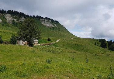 Tour Wandern Engins - La Vire Chenevoye et la Molière par le Pas de La Grande Combe - Photo