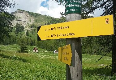 Tour Wandern Allos - MF de Valdemars - Photo