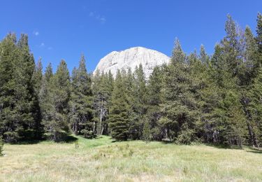 Tocht Stappen  - Dog lake et Lembert Dome - Photo