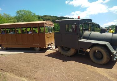 Randonnée Marche Olot - Les volcans de la GARROTXES (Espagne) (30/05/2019) - Photo