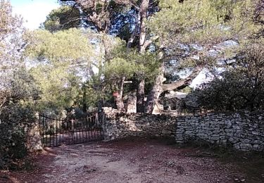 Trail Walking Venasque - venasque 84 souleye  - Photo