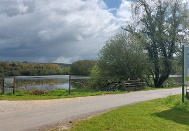 Trail Walking Brandivy - PR_56_Brandivy_AA_01_Etang-De-La-Foret_Circuit1b_20240417 - Photo
