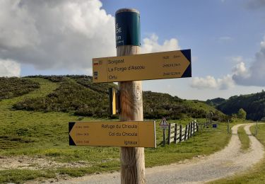 Tocht Stappen Prades - La Chioula Orlu GR107 le chemins des Bonshommes - Photo