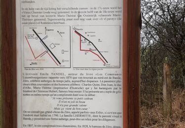 Tour Wandern Nassogne - Bande ac  - Photo