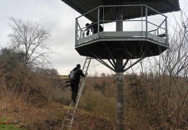 Tour Wandern Manhay - st antoine - Photo