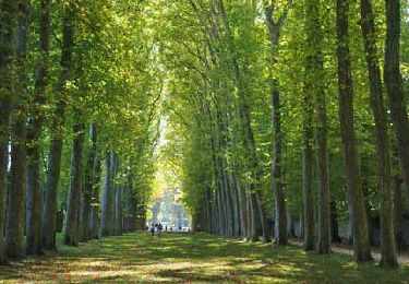 Percorso Bici ibrida Versailles - Versailles (Le parc à vélo) - Photo