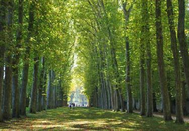 Trail Hybrid bike Versailles - Versailles (Le parc à vélo) - Photo