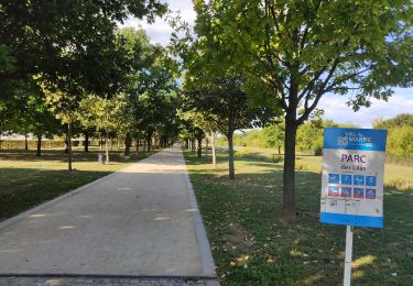 Randonnée Marche Villejuif - Le parc des lilas et la roseraie - Photo