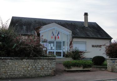 Excursión A pie Parcé-sur-Sarthe - Circuit du Bois du l'Hommeau - Photo