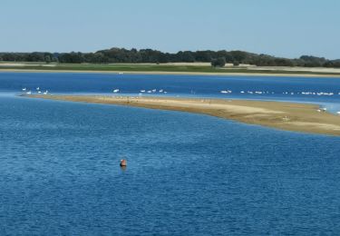 Tour Wandern Giffaumont-Champaubert - LAC du DER ... balade autour des étangs.  - Photo