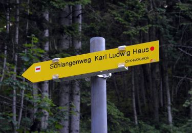 Tocht Te voet Gemeinde Neuberg an der Mürz - Wanderweg 829: Preiner Gscheid - Schlangenweg - Karl Ludwig Haus - Photo