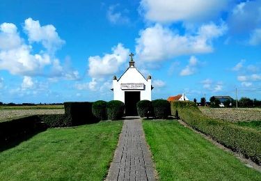 Excursión Senderismo Blankenberge - Promenade dans les Polders - Photo