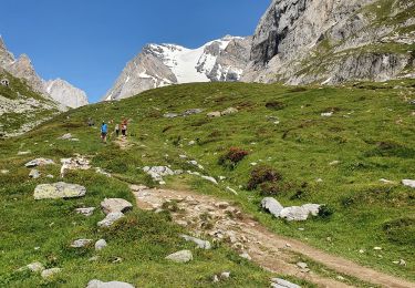 Percorso Marcia Pralognan-la-Vanoise - refuge de la Vanoise - Photo